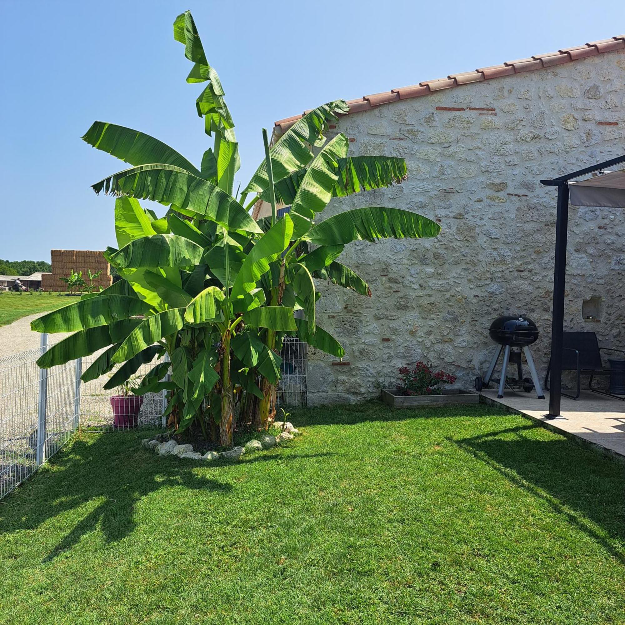 Le Domaine Vesque Villa Saint-Pierre-de-Clairac Eksteriør bilde