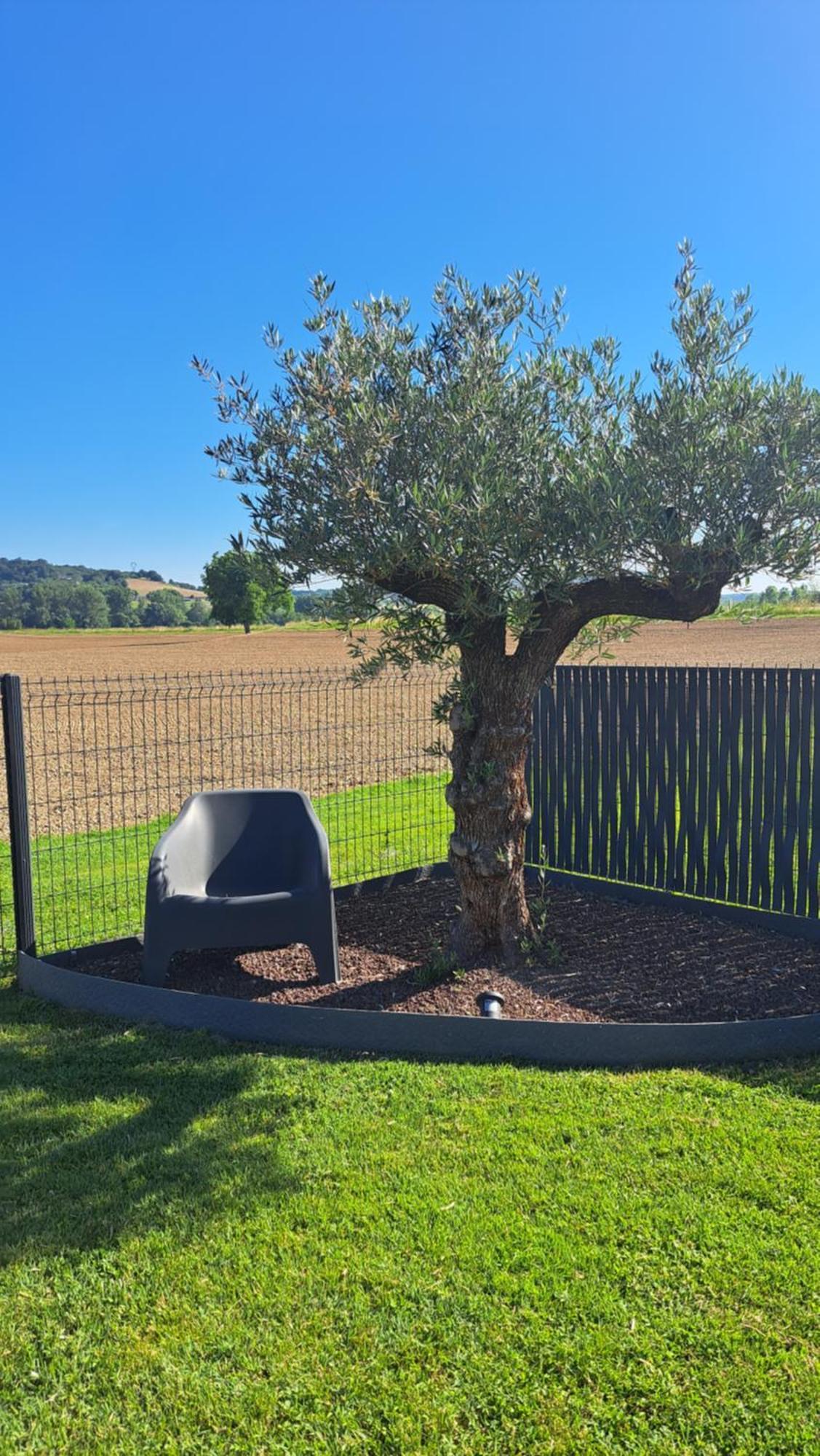 Le Domaine Vesque Villa Saint-Pierre-de-Clairac Eksteriør bilde